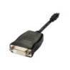 Mini DisplayPort (Male) to DVI (Female) adaptor  