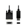 Axceltek CDPDVI-2 Display Port DP to DVI 24+1 2M Cable M/M