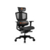 Cougar ARGO-ONE Ergonomic Gaming Chair