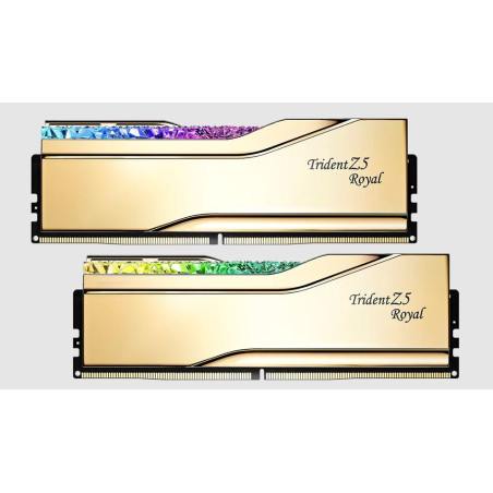 TZ5 ROYAL G 48G KIT 2X24G DDR5 7200MT/S