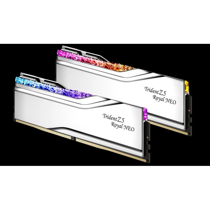 TZ5 ROYAL NEO S 32G KIT 2X16G DDR5-6000