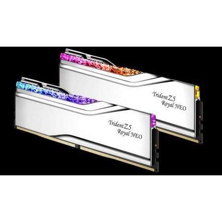 TZ5 ROYAL NEO S 32G KIT 2X16G DDR5-6000