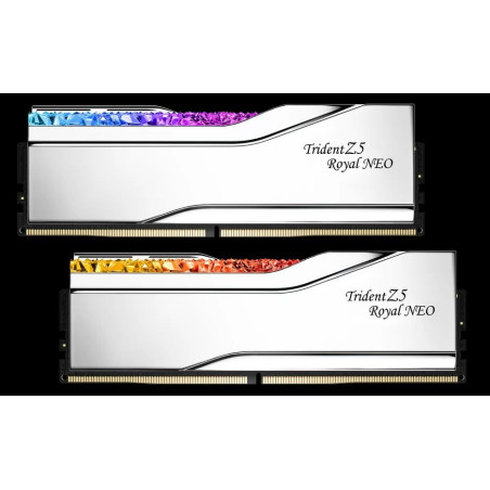 TZ5 ROYAL NEO S 32G KIT 2X16G DDR5-8000