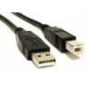 Astrotek USB 2.0 Printer Cable 5m - Type A Male to Type B Male Transparent Colour ~CBUSBAB5M