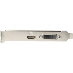 Gigabyte GeForce GT 1030 Low Profile D4 2G Graphics Card