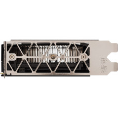 Leadtek NVIDIA Tesla P40 24G GPU Accelerator