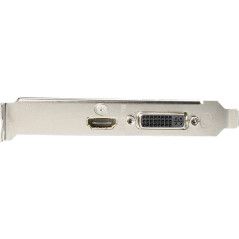 Gigabyte GeForce GT 710 1G Graphics Card