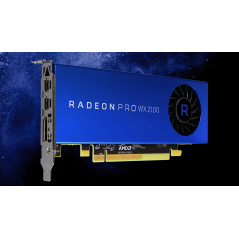 AMD Radeon Pro WX 2100 2GB Workstation Graphics Card