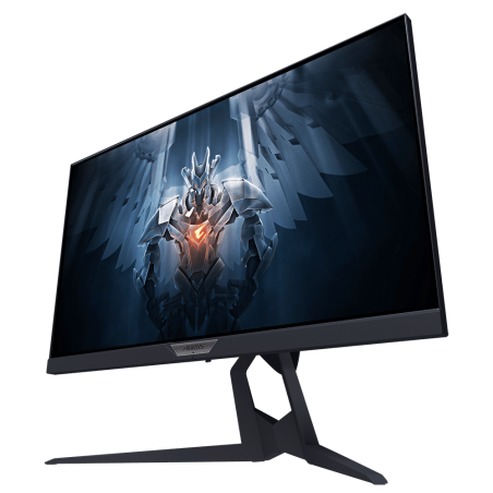 Gigabyte AORUS FI25F 24.5" FHD IPS 240Hz Height Adjustable Monitor