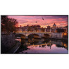 Samsung QBR Pro 55" 4K Ultra HD 16/7 Display