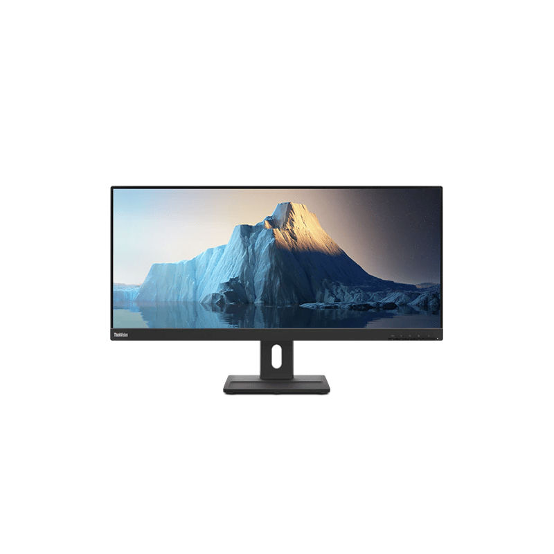 Lenovo ThinkVision E29W-20 29" QHD Monitor