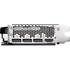 MSI GeForce RTX 4070 VENTUS 2X E 12G OC Graphic Card