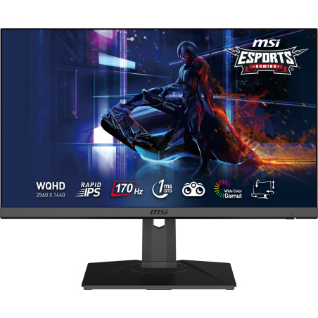 MSI G272QPF 27" QHD Rapid IPS 1ms 170Hz Monitor