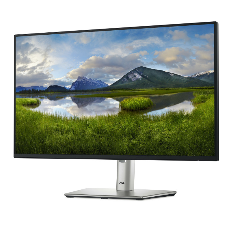 Dell P2425HE 23.8" FHD IPS 100Hz USB-C Height Adjustable Monitor