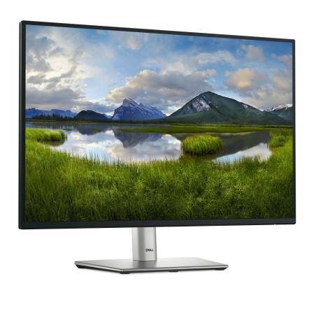 Dell P2425 24" WUXGA IPS 100Hz USB-C Height Adjustable Monitor