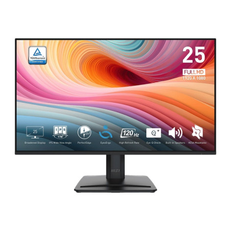 MSI PRO MP251 E2 24.5" FHD IPS 1ms 120Hz Monitor