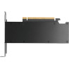 nVidia RTX PRO 2000 Blackwell 8GB Graphics Card