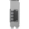 nVidia RTX PRO 2000 Blackwell 8GB Graphics Card