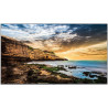 (Open-Box) Samsung QE43T 43" 4K UHD 16/7 300 Nits Commercial Display