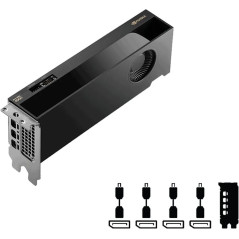 NVIDIA GeForce RTX PRO 4000 Blackwell Small Form Factor 24GB Graphic Card