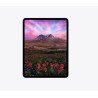Apple 11" iPad Pro Wi-Fi M5 256GB Standard Glass - Space Black