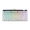 Asus ROG Falchion Ace 75 HE Gaming Mechanical Keyboard ROG HFX V2 Magnetic Hot-swappable Switches TKL 8K Polling Rate Doubleshot
