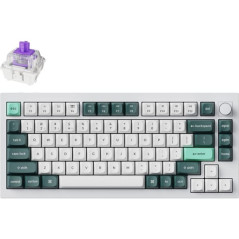 (Ex-Demo) Keychron Q1 HE QMK Fully Assembled Knob Wireless Custom Shell White Keyboard - Gateron Double-Rail Nebula Switch
