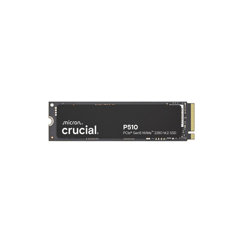 CRU SSD 1TB-CT1000P510SSD8-M2