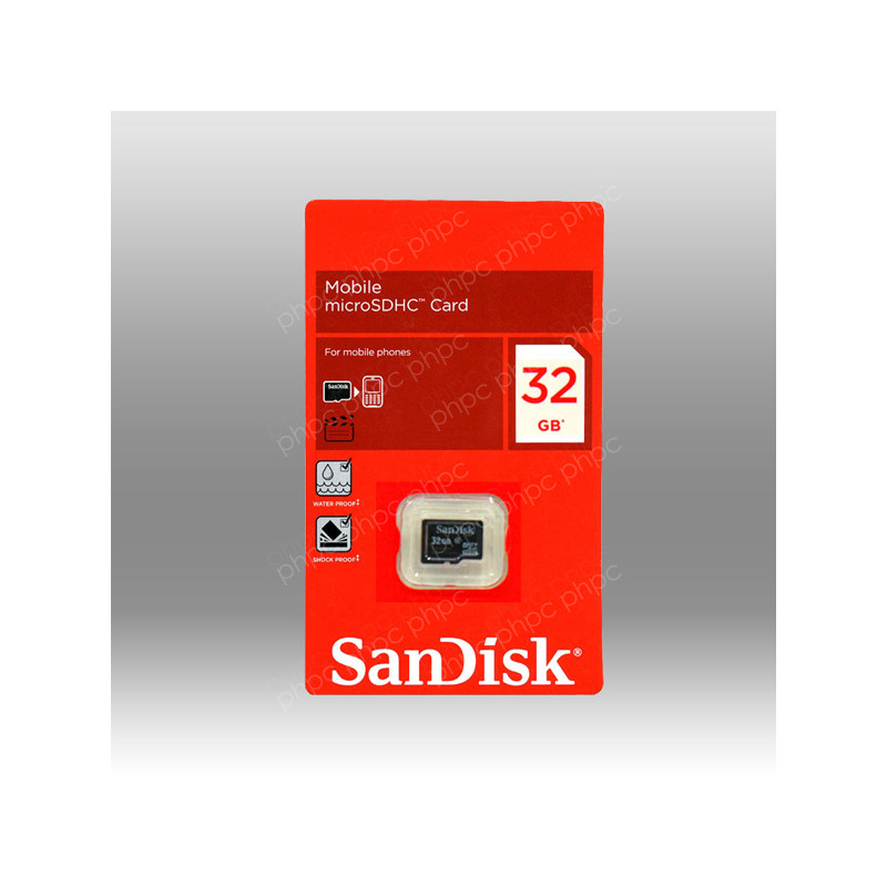 32GB SanDisk microSD SDQ