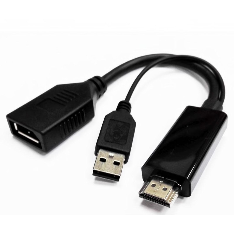 HDMI Male to Display Port Female with USB (for power)