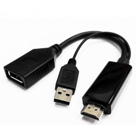 HDMI Male to Display Port Female with USB (for power)