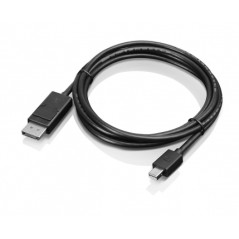 Mini-DisplayPort to DisplayPort Monitor