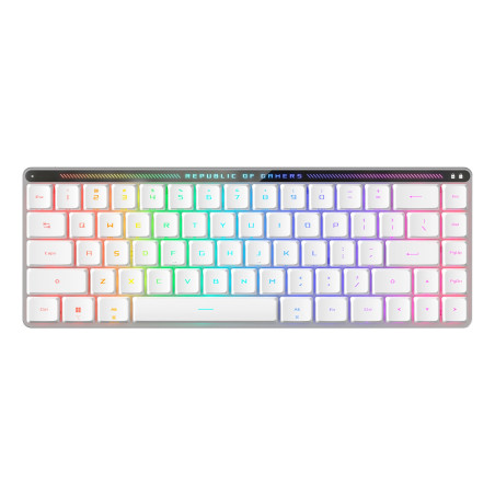 ROG FALCHION RX LOW PROFILE [RED SW] 2Y