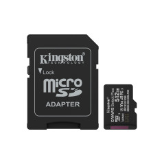 256GB microSDXC Canvas Select+ Gen3 150M