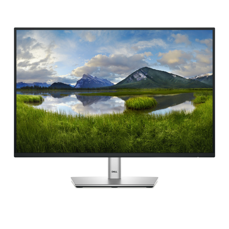 DELL MONITOR P2425