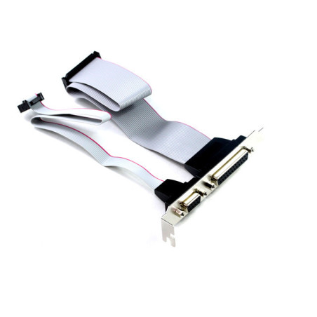30CM Parallel & Serial Port Motherboard Header