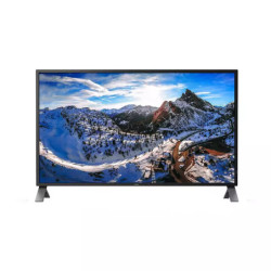 Philips 438P1 43in 4K UHD IPS W-LED Multiview Monitor