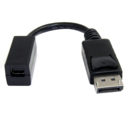 StarTech 6in DisplayPort to Mini DisplayPort Video Cable Adapter M/F