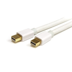 StarTech 1m 3 ft White Mini Displayport 1.2 Cable - mDP Cable 4k x 2k