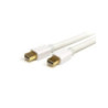 2m 6 ft White Mini DisplayPort Cable M/M