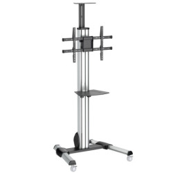 StarTech TV Cart - For 32in to 75in Displays - Height Adjustable