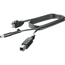 300CM DP+USB PWR CABLE