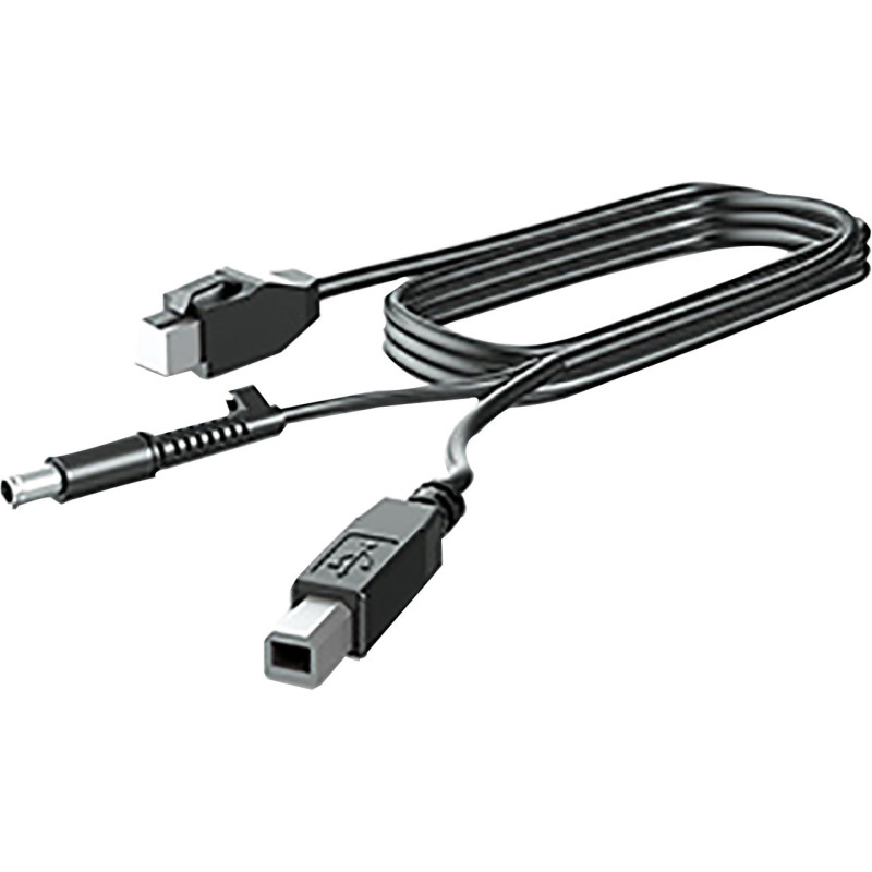 300CM DP+USB PWR CABLE