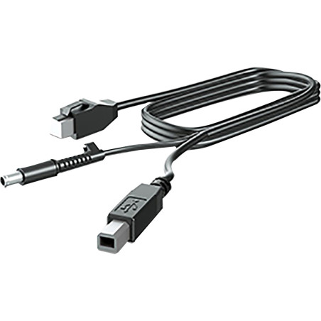 300CM DP+USB PWR CABLE