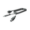 300CM DP+USB PWR CABLE