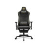 Cougar ARMOR EVO S GOLD Gaming Chair with Foot Rest